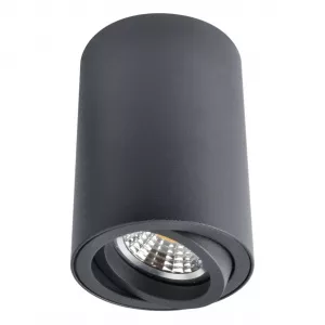 Arte Lamp SENTRY Черный A1560PL-1BK