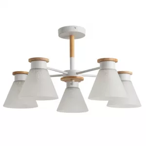 Потолочная люстра Arte Lamp TYLER Белый A1031PL-5WH