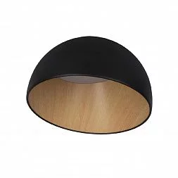 Потолочный светильник LOFT IT Egg 10197/350 Black